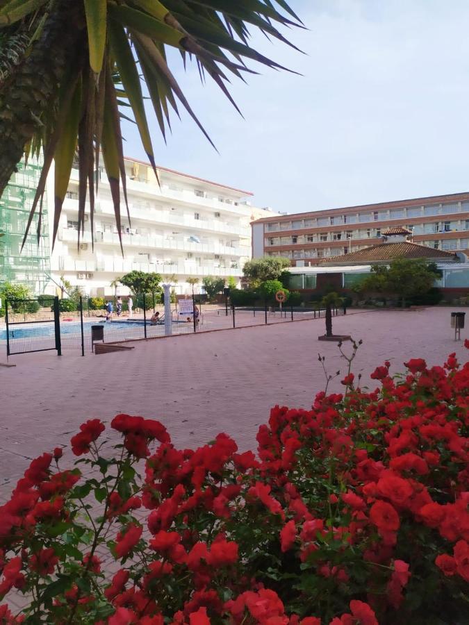 Alegre Apto Con Piscina, A 300M De La Playa. Blanes Luaran gambar
